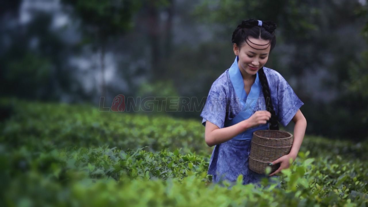 了翁茶廣告片_茶葉廣告片_成都茶葉公司宣傳片_茶葉形象宣傳廣告片拍攝制作公司 了翁茶廣告片_茶葉廣告片_成都茶葉公司宣傳片_茶葉形象宣傳廣告片拍攝制作公司