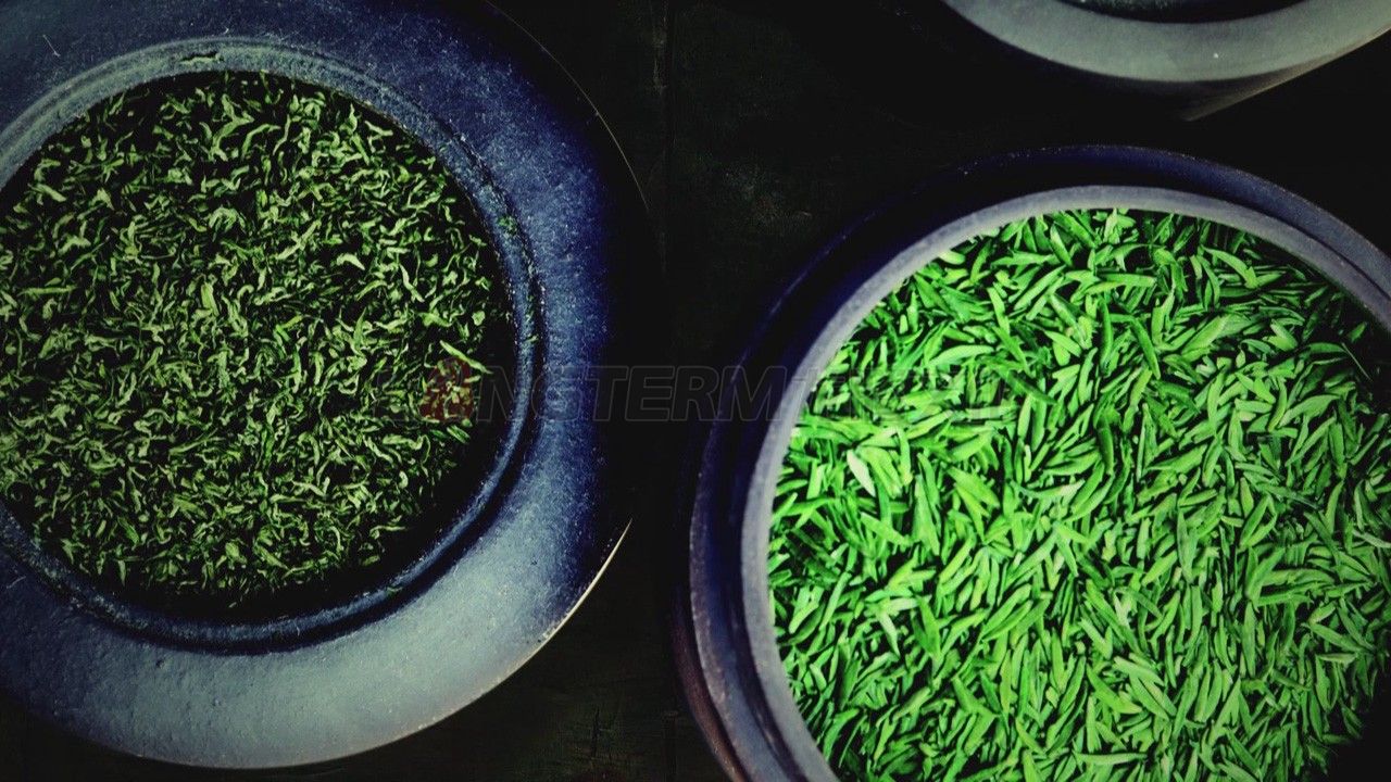 了翁茶廣告片_茶葉廣告片_成都茶葉公司宣傳片_茶葉形象宣傳廣告片拍攝制作公司 了翁茶廣告片_茶葉廣告片_成都茶葉公司宣傳片_茶葉形象宣傳廣告片拍攝制作公司