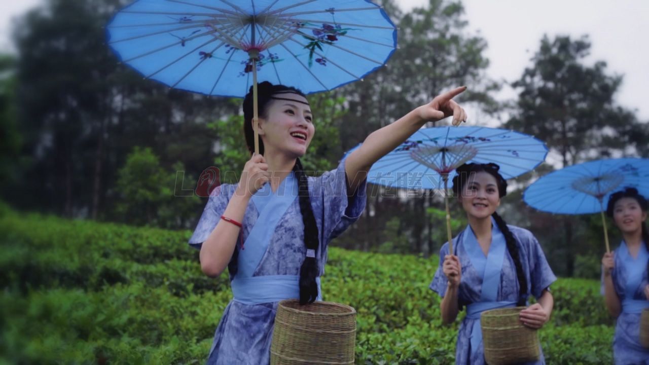 了翁茶廣告片_茶葉廣告片_成都茶葉公司宣傳片_茶葉形象宣傳廣告片拍攝制作公司 了翁茶廣告片_茶葉廣告片_成都茶葉公司宣傳片_茶葉形象宣傳廣告片拍攝制作公司