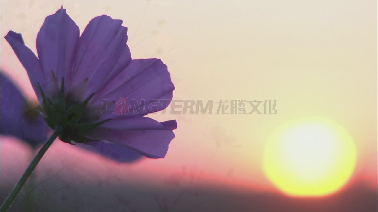 華為集團(tuán)公司微電影_華為公司微電影_華為公司企業(yè)宣傳片_華為公司專題宣傳片拍攝制作 華為集團(tuán)公司微電影_華為公司微電影_華為公司企業(yè)宣傳片_華為公司專題宣傳片拍攝制作