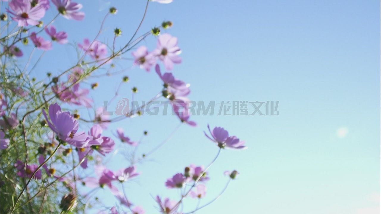 華為集團(tuán)公司微電影_華為公司微電影_華為公司企業(yè)宣傳片_華為公司專題宣傳片拍攝制作 華為集團(tuán)公司微電影_華為公司微電影_華為公司企業(yè)宣傳片_華為公司專題宣傳片拍攝制作