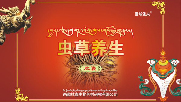 蟲草養(yǎng)生膠囊禮盒包裝設(shè)計(jì)