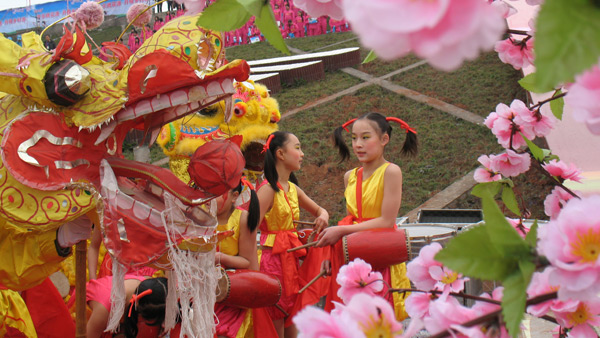 《齊樂桃花源 丹棱鄉(xiāng)村游》城市節(jié)日活動(dòng)策劃