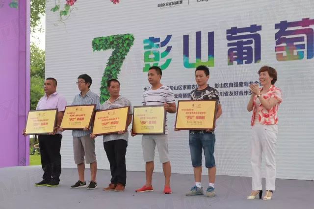 繽紛葡萄節(jié)，打響彭山旅游第一炮！