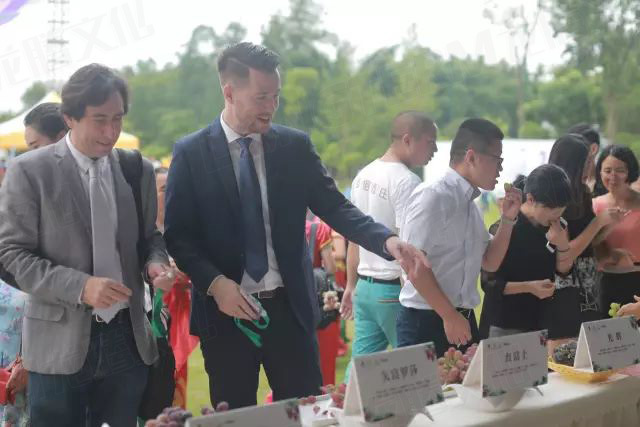 繽紛葡萄節(jié)，打響彭山旅游第一炮！