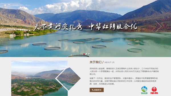 青海聯(lián)合水產(chǎn)集團有限公司官網(wǎng)設(shè)計