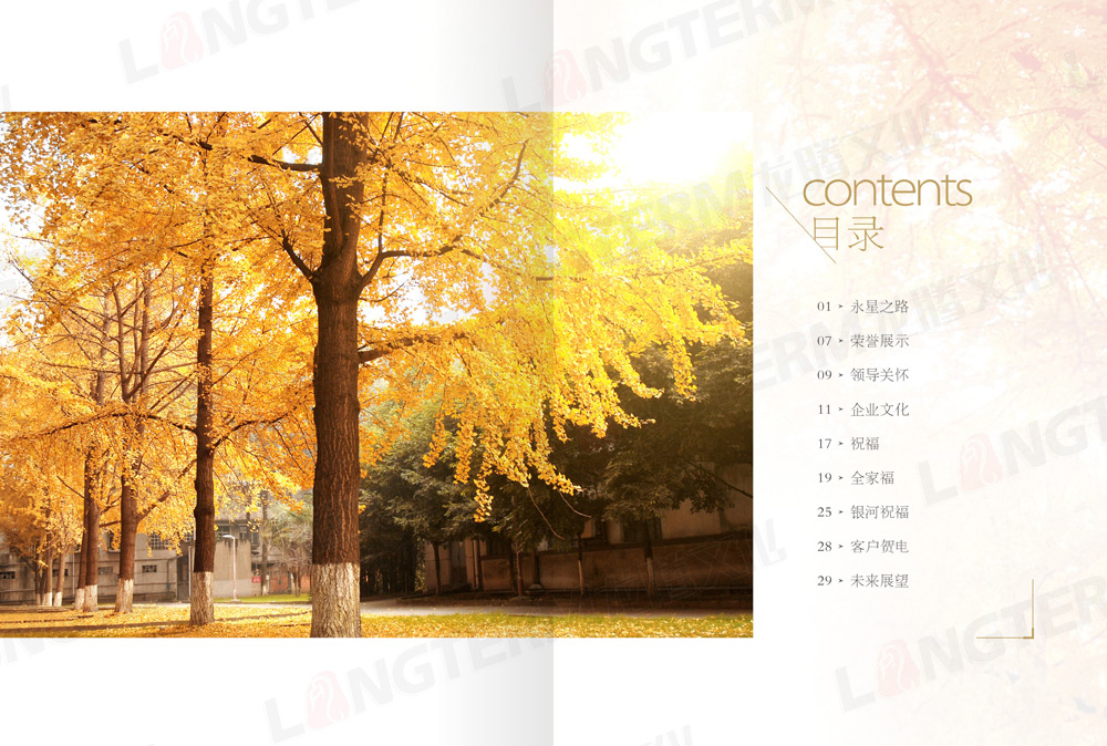 四川永星電子50周年紀念畫冊設(shè)計 四川永星電子50周年紀念畫冊設(shè)計