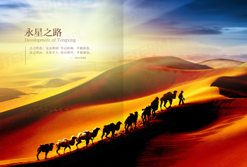 四川永星電子50周年紀念畫冊設(shè)計 四川永星電子50周年紀念畫冊設(shè)計