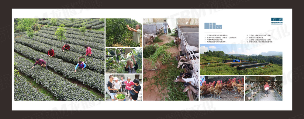 丹棱縣脫貧攻堅(jiān)工作紀(jì)實(shí)畫冊設(shè)計(jì)