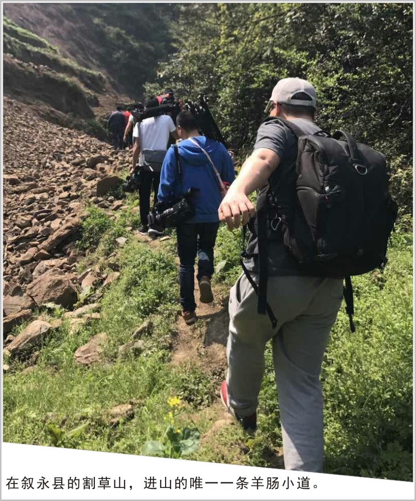 忙，忙，忙并快樂著：龍騰文化四部影視大片齊開機(jī)！