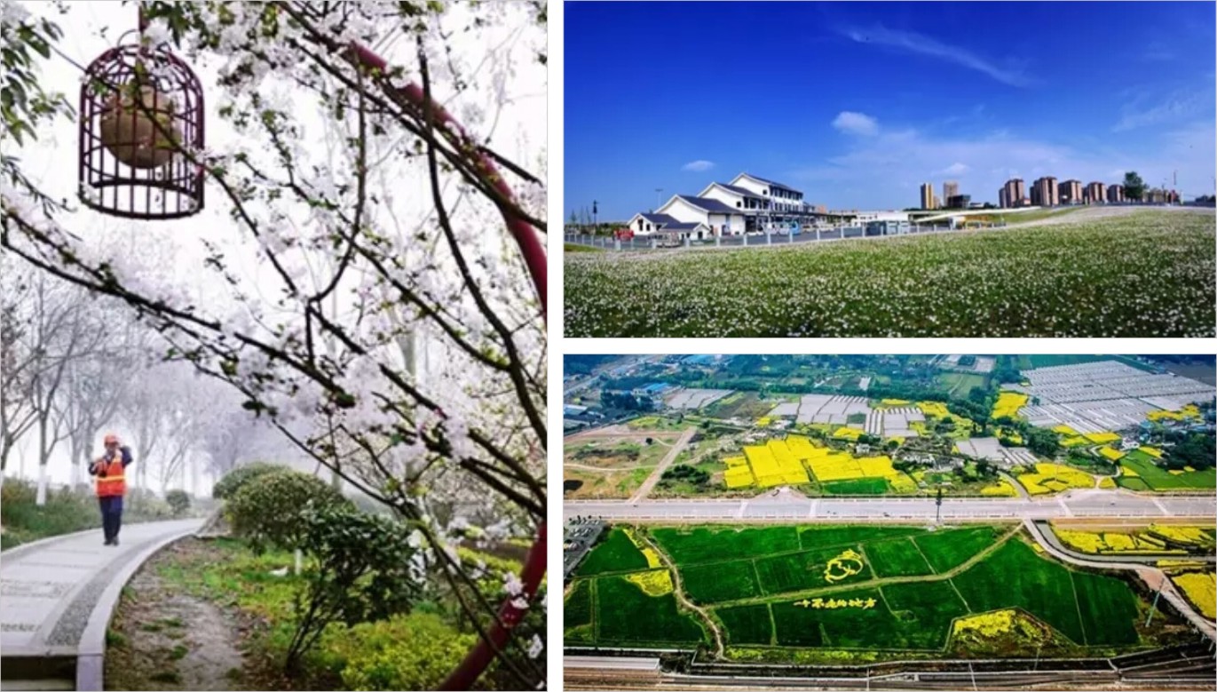 忙，忙，忙并快樂著：龍騰文化四部影視大片齊開機(jī)！