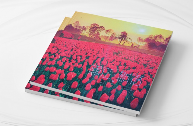 四川省成都市浦江縣蒲江·新語畫冊策劃設計方案