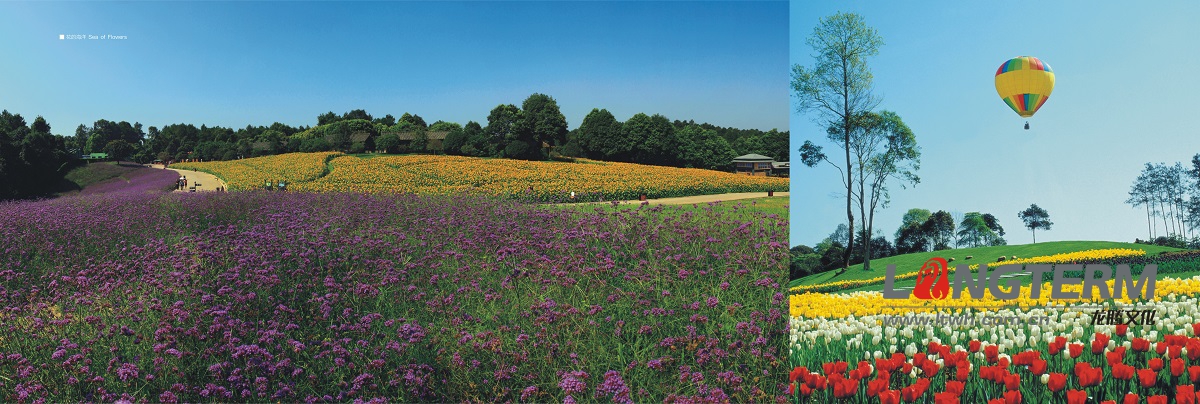 蒲江·新語畫冊設計