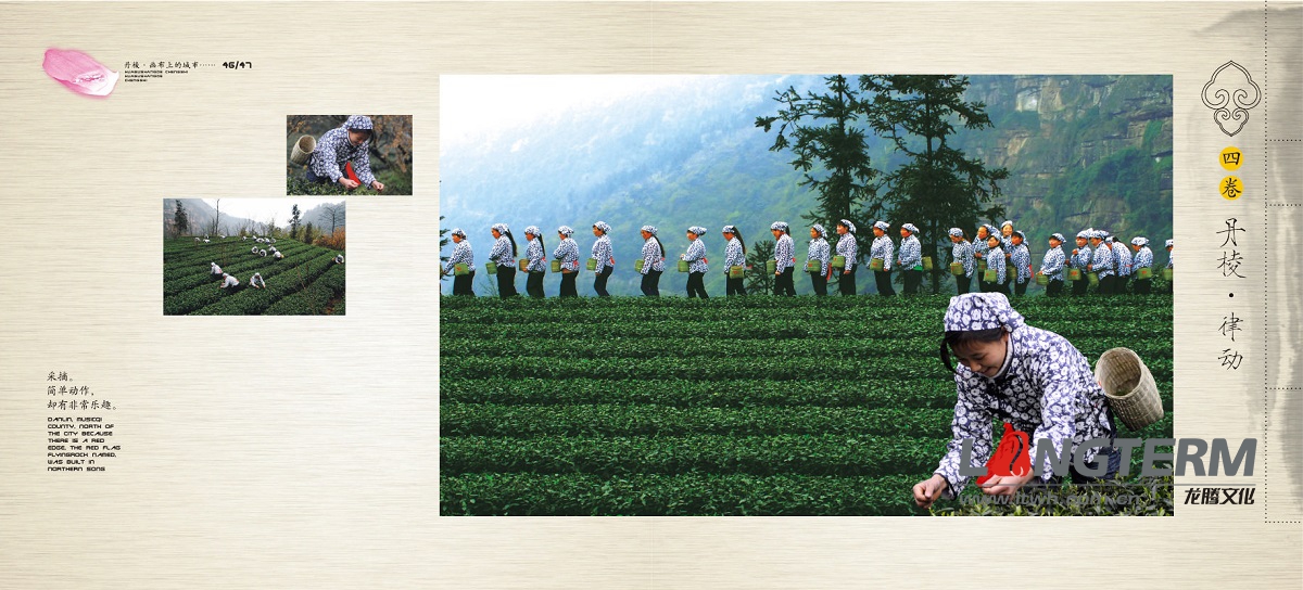 丹棱縣城市形象宣傳畫冊(cè)設(shè)計(jì) 丹棱縣城市形象宣傳畫冊(cè)設(shè)計(jì)