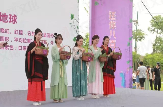 繽紛葡萄節(jié)，打響彭山旅游第一炮！