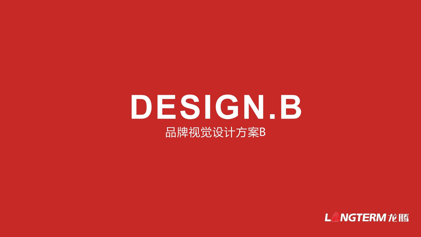 四川海巖聲學(xué)科技有限公司LOGO設(shè)計方案及全套視覺設(shè)計方案