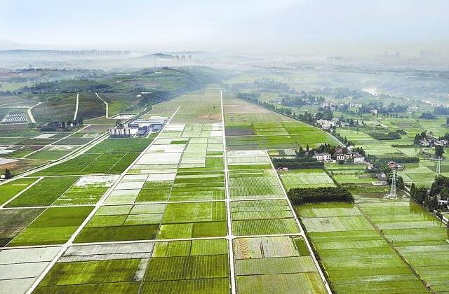 四川省成都市新都區(qū)農(nóng)業(yè)農(nóng)村局招商宣傳片服務(wù)項目服務(wù)明細