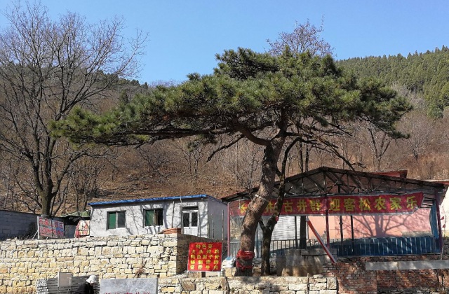 四川省攀枝花市東區(qū)人民政府瓜子坪街道辦事處“七戶人家一棵樹”書籍、宣傳片拍攝制作服務內容