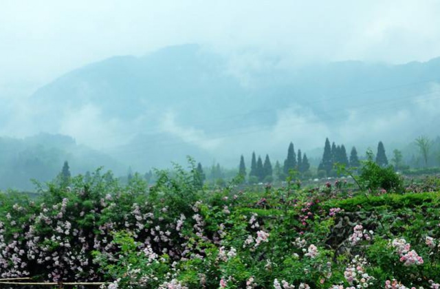 四川省成都市彭州市婦幼保健計劃生育服務中心微電影及宣傳片制作詳情