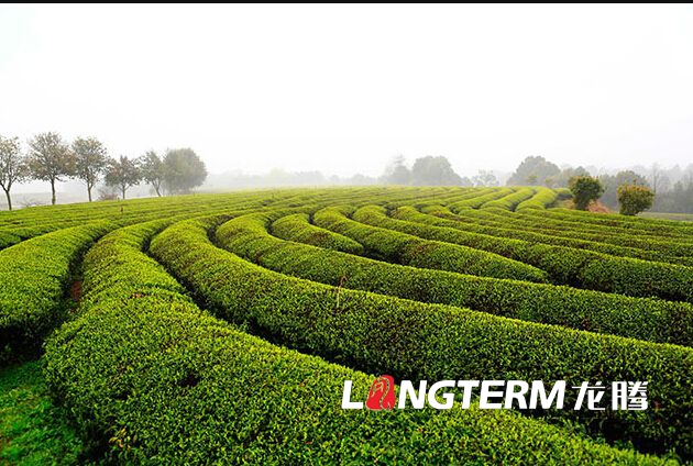 如何拍攝制作一部高質(zhì)量的宣傳片 如何拍攝制作一部高質(zhì)量的宣傳片