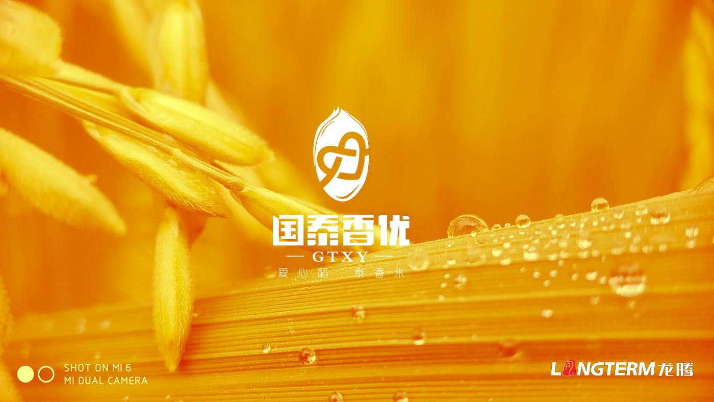 四川眾智種業(yè)科技有限公司“國泰香優(yōu)”品牌VIS設計及實例應用展示效果 四川眾智種業(yè)科技有限公司“國泰香優(yōu)”品牌VIS設計及實例應用展示效果