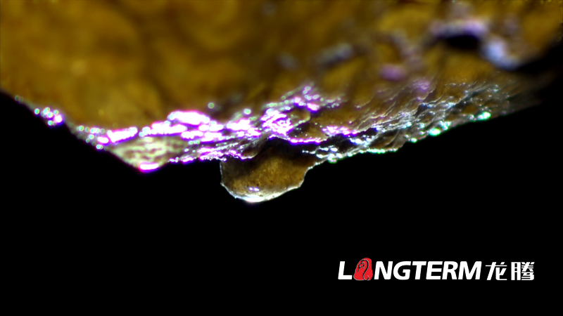 《穿越之旅-中國·白鹿》彭州白鹿鎮(zhèn)旅游宣傳片(中英文字幕角標(biāo)版)拍攝制作 《穿越之旅-中國·白鹿》彭州白鹿鎮(zhèn)旅游宣傳片(中英文字幕角標(biāo)版)拍攝制作