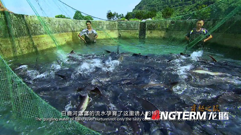 《穿越之旅-中國·白鹿》彭州白鹿鎮(zhèn)旅游宣傳片(中英文字幕角標(biāo)版)拍攝制作 《穿越之旅-中國·白鹿》彭州白鹿鎮(zhèn)旅游宣傳片(中英文字幕角標(biāo)版)拍攝制作