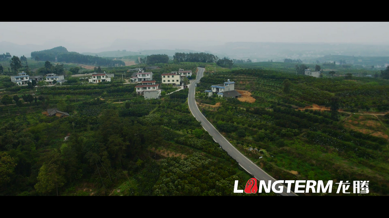 丹棱都市現(xiàn)代農(nóng)業(yè)視頻宣傳片拍攝制作 丹棱都市現(xiàn)代農(nóng)業(yè)視頻宣傳片拍攝制作