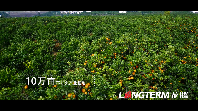 丹棱都市現(xiàn)代農(nóng)業(yè)視頻宣傳片拍攝制作 丹棱都市現(xiàn)代農(nóng)業(yè)視頻宣傳片拍攝制作