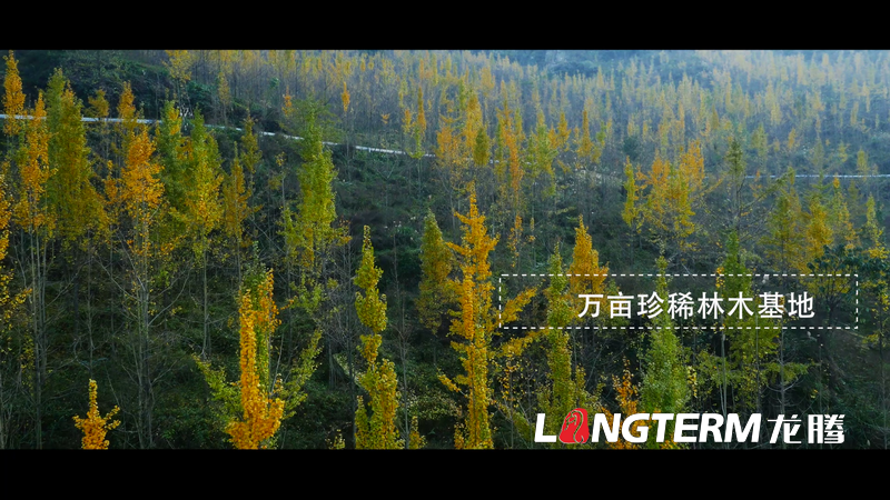 丹棱都市現(xiàn)代農(nóng)業(yè)視頻宣傳片拍攝制作 丹棱都市現(xiàn)代農(nóng)業(yè)視頻宣傳片拍攝制作