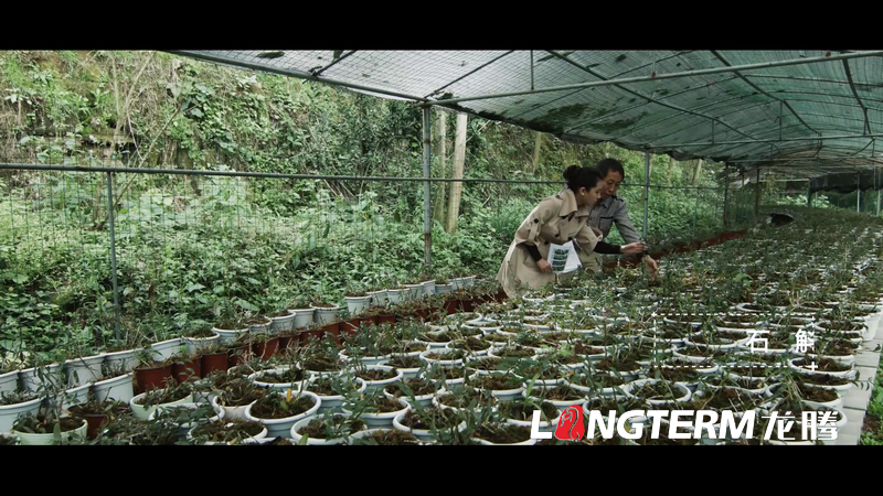 丹棱都市現(xiàn)代農(nóng)業(yè)視頻宣傳片拍攝制作 丹棱都市現(xiàn)代農(nóng)業(yè)視頻宣傳片拍攝制作