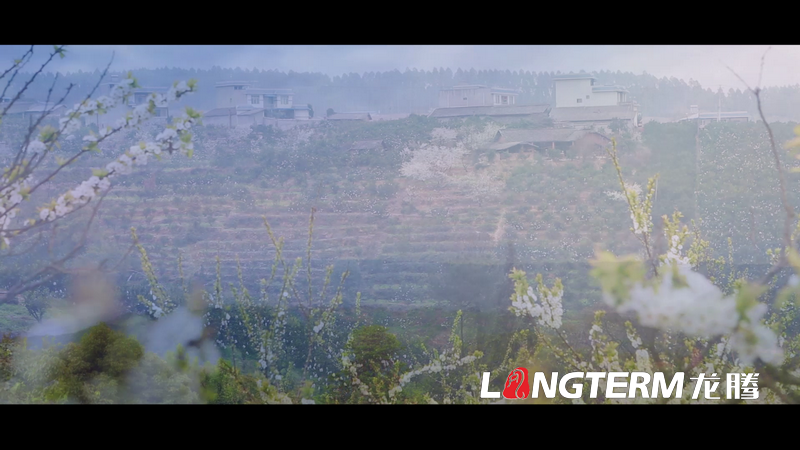 丹棱都市現(xiàn)代農(nóng)業(yè)視頻宣傳片拍攝制作 丹棱都市現(xiàn)代農(nóng)業(yè)視頻宣傳片拍攝制作