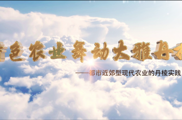 丹棱都市現(xiàn)代農(nóng)業(yè)視頻宣傳片拍攝制作