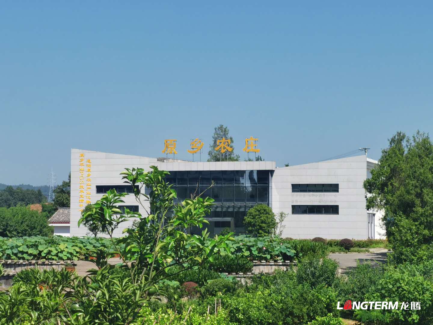 “恩陽蘆筍”項(xiàng)目踩點(diǎn)