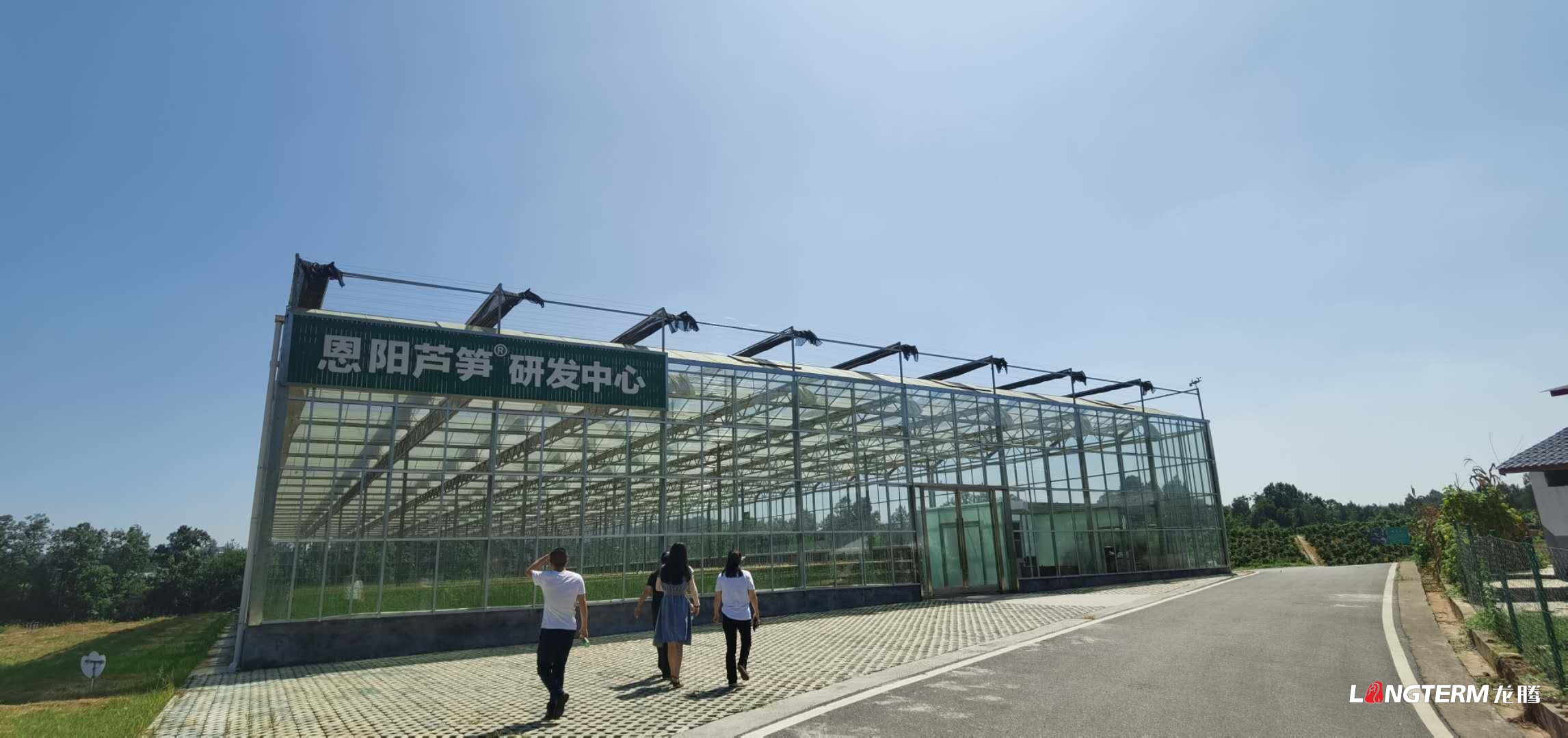 “恩陽蘆筍”項(xiàng)目踩點(diǎn)