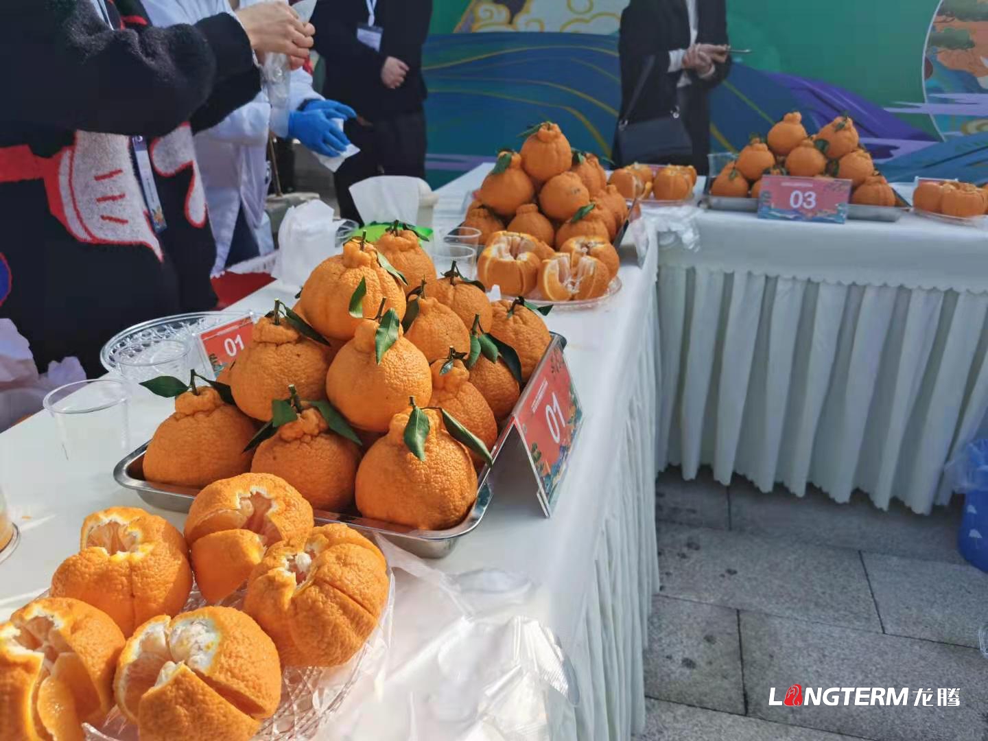 2021第九屆丹棱·不知火種植技術(shù)大比武完美落幕 2021第九屆丹棱·不知火種植技術(shù)大比武完美落幕