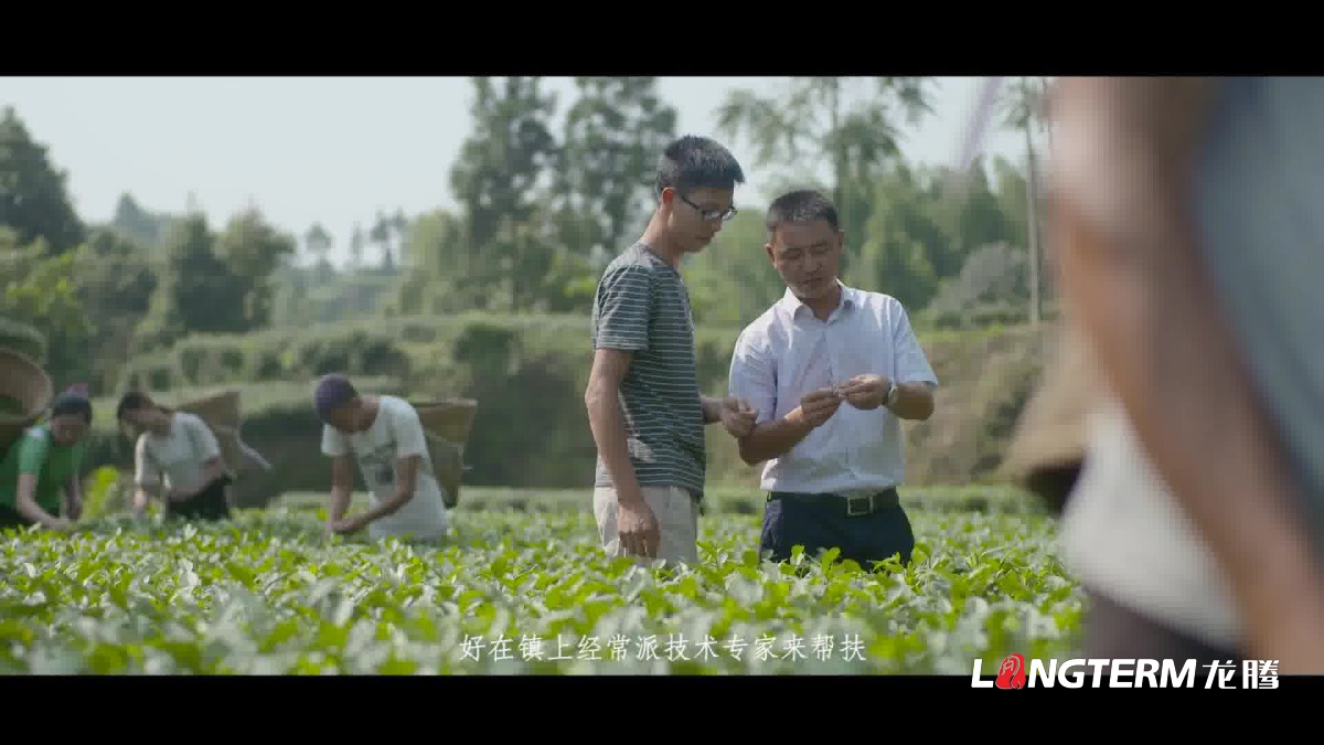 紀(jì)錄片制作的拍攝手法和基本原則 紀(jì)錄片制作的拍攝手法和基本原則