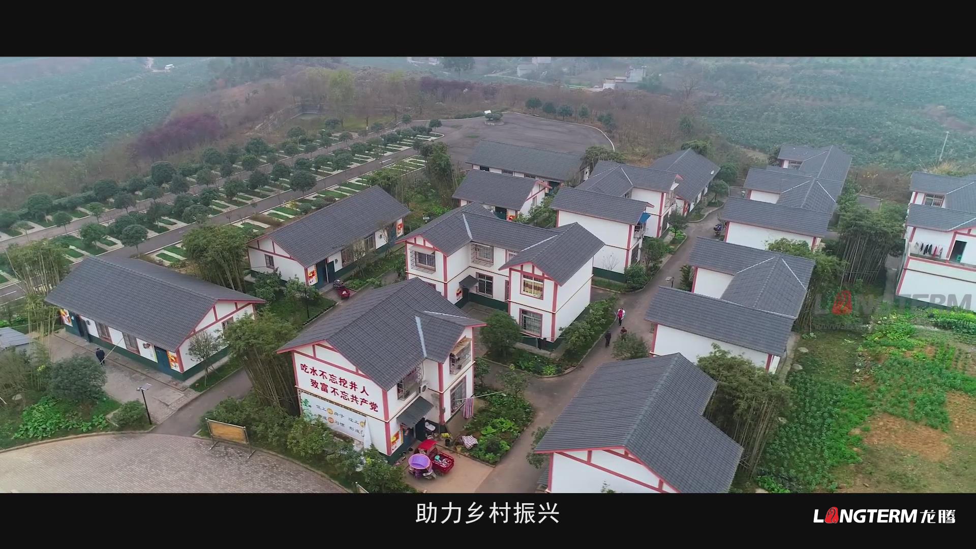 鄉(xiāng)村振興的彭山實踐成果匯報宣傳片