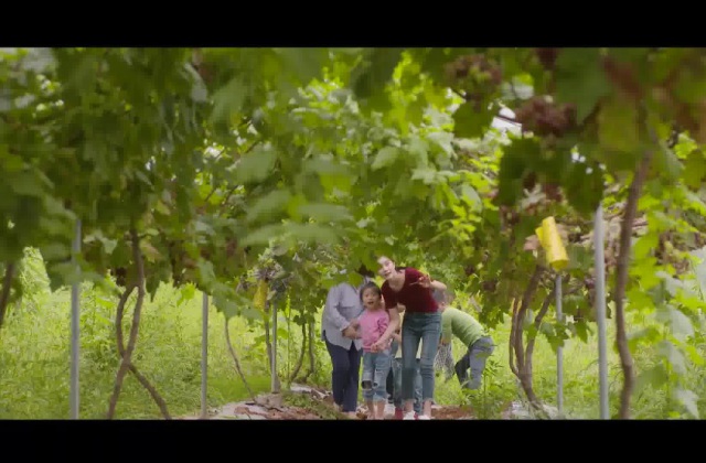 宣傳片腳本怎么寫范文大全？宣傳片寫腳本的方法和技巧