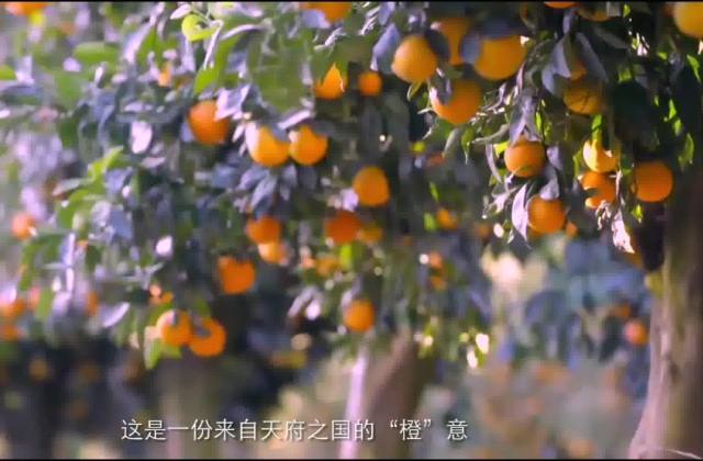 公司的宣傳片怎么寫腳本？企業(yè)宣傳片腳本的寫作思路