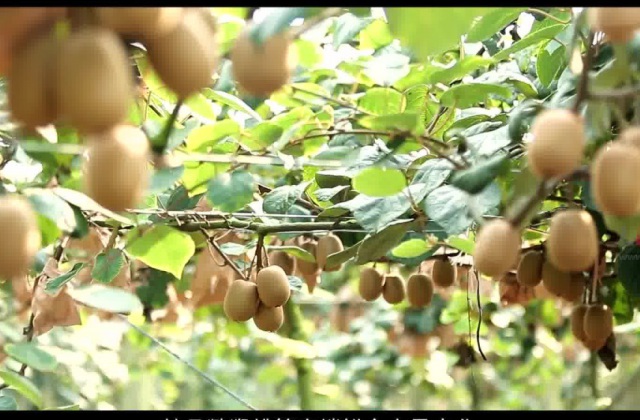 宣傳片拍攝方案怎么寫？一部好的拍攝宣傳片的方案