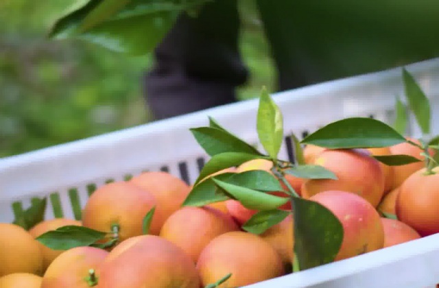 產(chǎn)品宣傳視頻怎么制作？產(chǎn)品宣傳小視頻怎么制作？