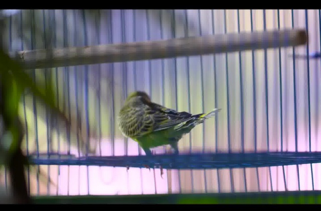 創(chuàng)意產(chǎn)品宣傳片怎么拍？有什么辦法讓產(chǎn)品宣傳片拍出創(chuàng)意十足的感覺？