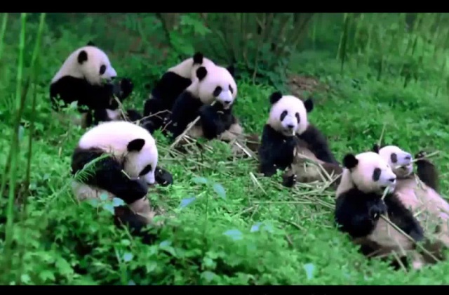 拍攝5分鐘企業(yè)宣傳片的價格是多少？5分鐘宣傳片拍攝價格