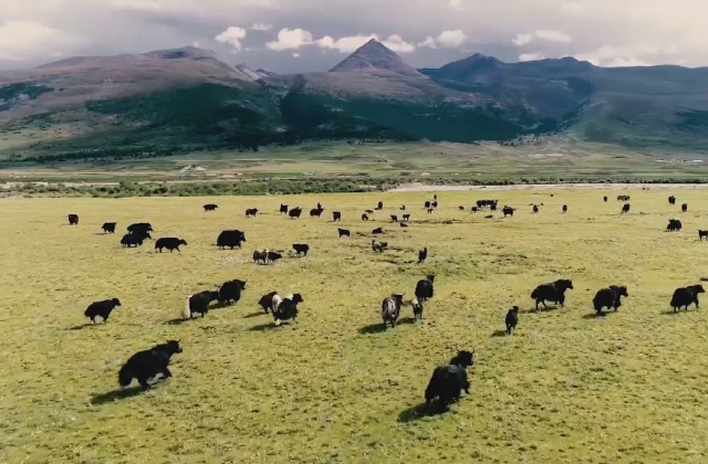 紅色旅游宣傳片怎么寫腳本？如何制作優(yōu)秀的紅色旅游宣傳片？