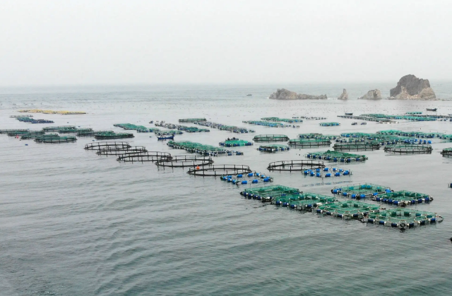 海洋經濟宣傳片制作需要注意什么呢？