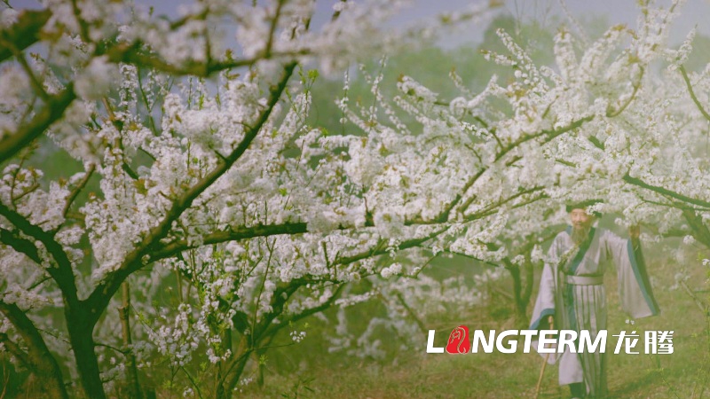 成都環(huán)保宣傳片拍攝公司有哪些,如何選擇？