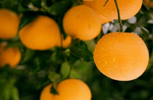 如何制作四川城市宣傳片？四個(gè)細(xì)節(jié)要知道！