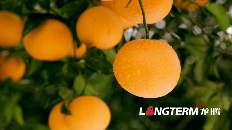 如何制作四川城市宣傳片？四個(gè)細(xì)節(jié)要知道！