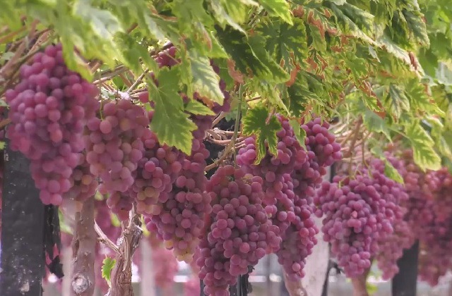 在綿陽宣傳片拍攝出來如何調(diào)整